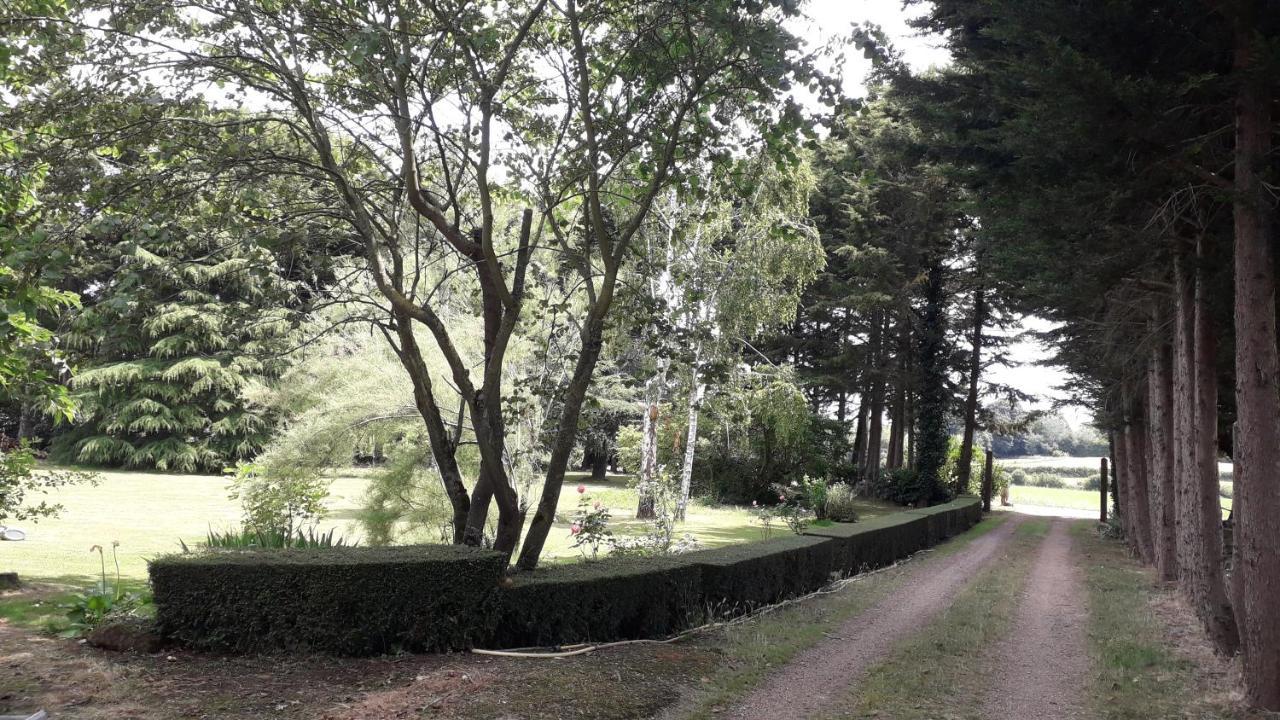 Les Terrasses Acomodação com café da manhã Degré Exterior foto